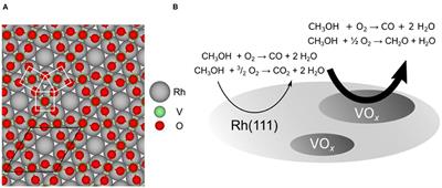 Dynamics of Ultrathin Vanadium Oxide Layers on Rh(111) and Rh(110) Surfaces During Catalytic Reactions